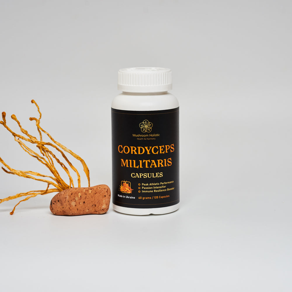 
                  
                    Cordyceps militaris mushroom in capsules
                  
                