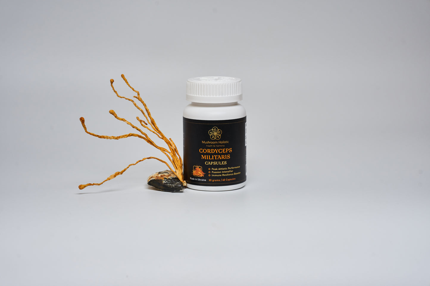 
                  
                    Cordyceps militaris mushroom in capsules
                  
                