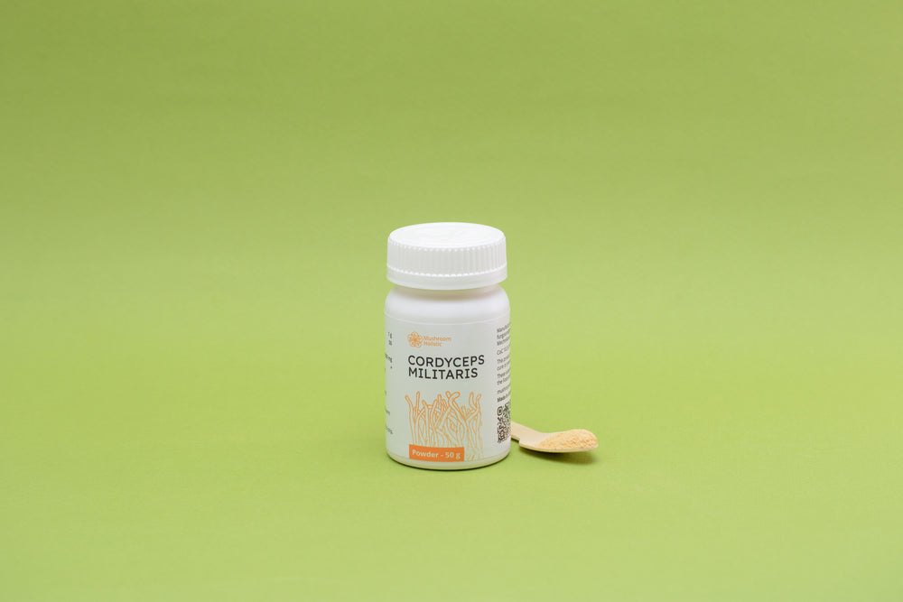 Cordyceps Militaris - Powder 50 g