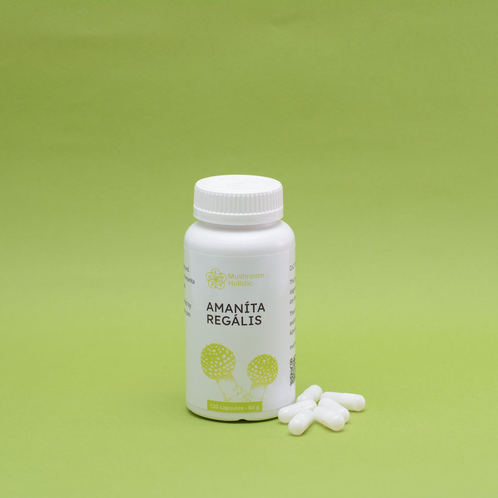 
                  
                    Amanita Regalis - 60 or 120 Capsules
                  
                