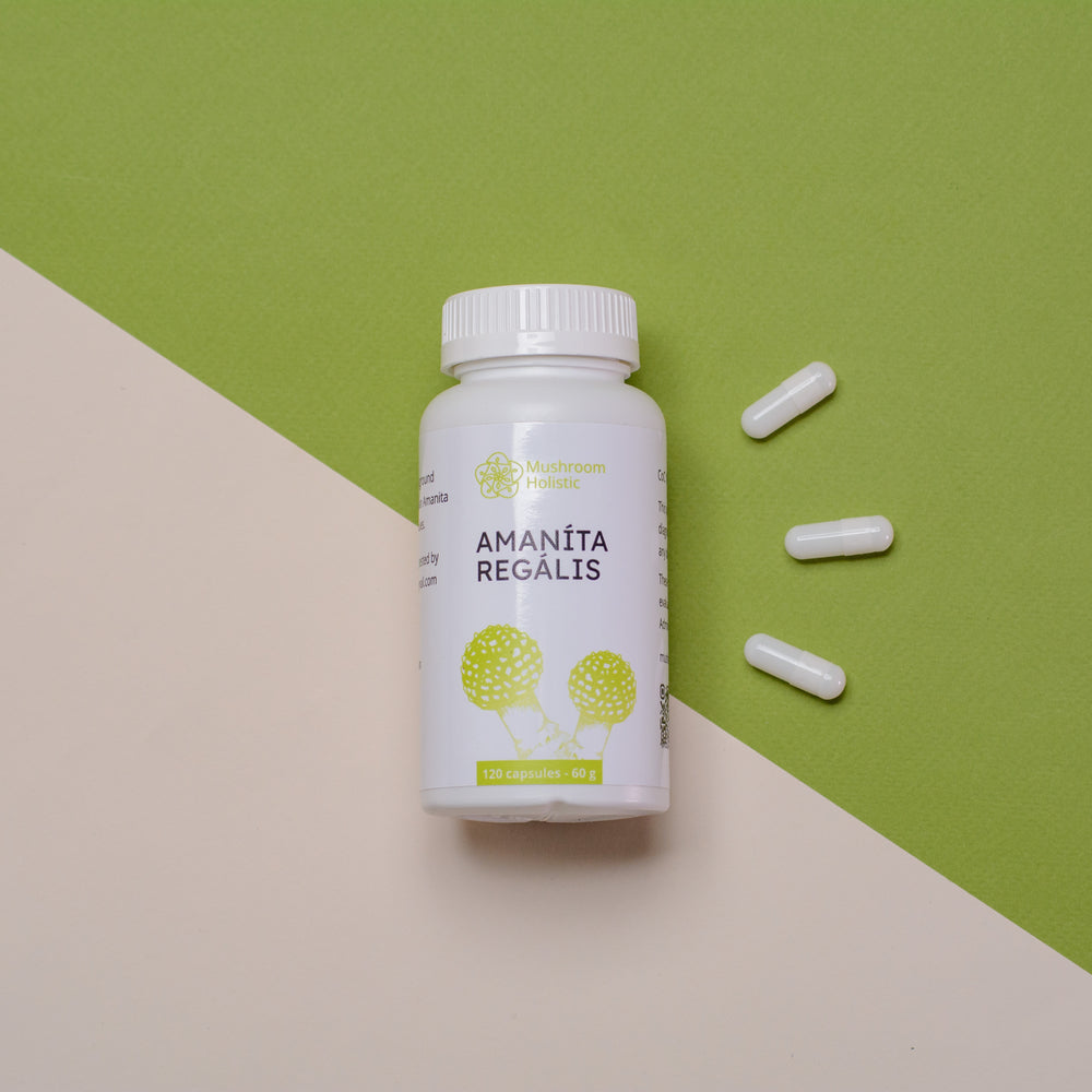 
                  
                    Amanita Regalis - 60 or 120 Capsules
                  
                