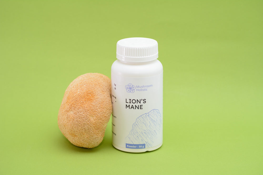 Lion’s Mane - Mushroom Powder 50 g