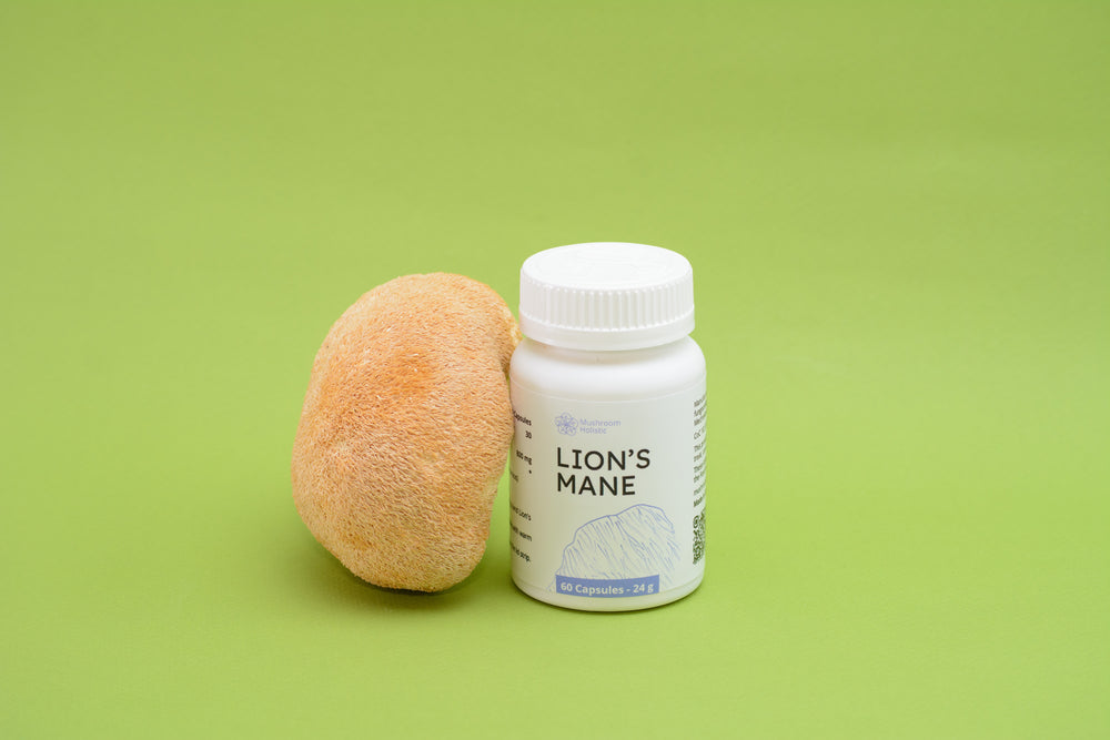 Lion's Mane - 60 or 120 Capsules