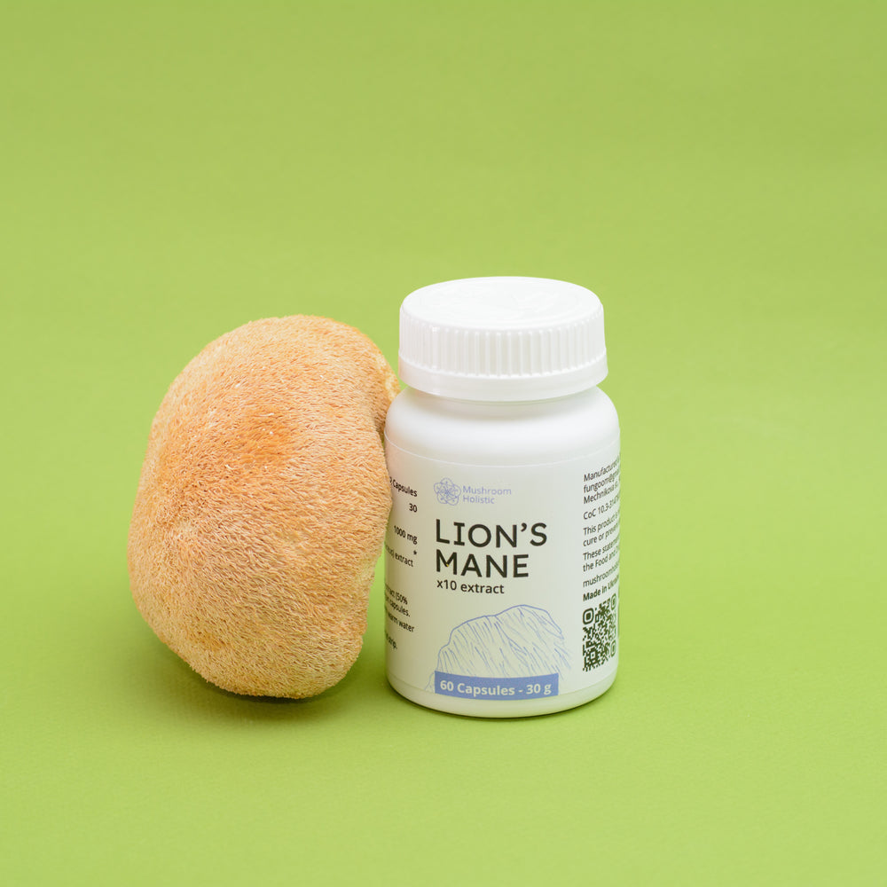 
                  
                    Lion’s Mane Extract - 60 Capsules
                  
                