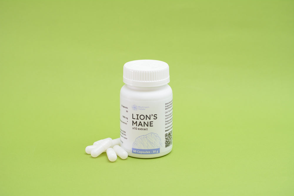 Lion’s Mane Extract - 60 Capsules