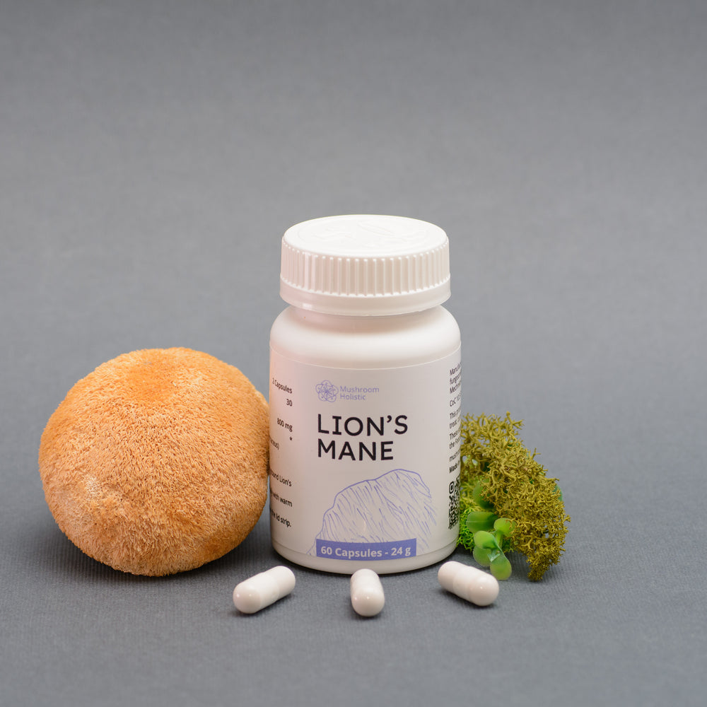 
                  
                    Lion's Mane - 60 or 120 Capsules
                  
                