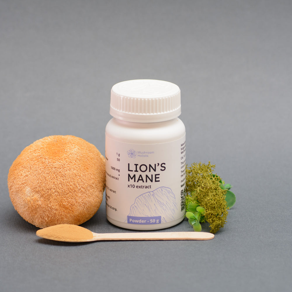 
                  
                    Lion’s Mane Extract - Powder 50 g
                  
                