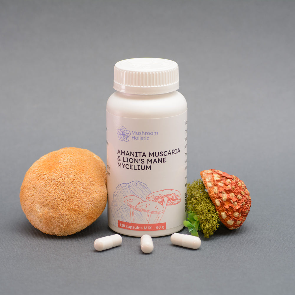 
                  
                    Mix Lion’s Mane & Amanita Muscaria - 60 or 120 Capsules
                  
                