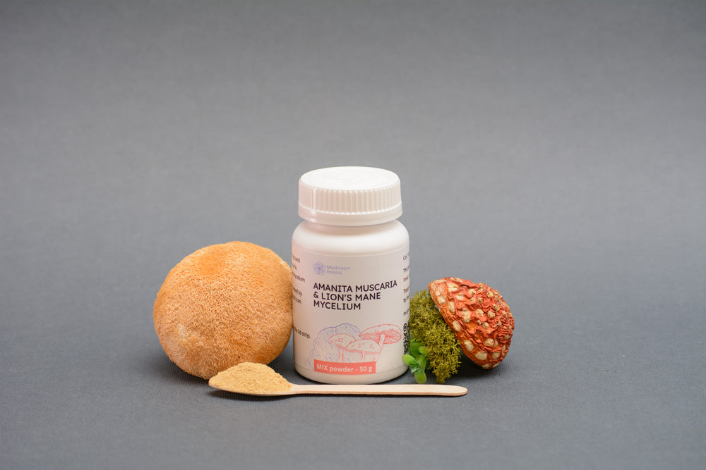 Mix Amanita Muscaria & Lion’s Mane - Powder 50 g