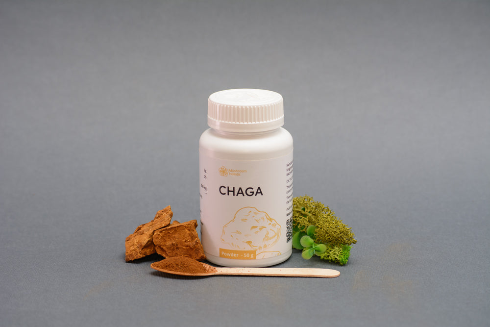 Chaga mushroom - Powder 50 g