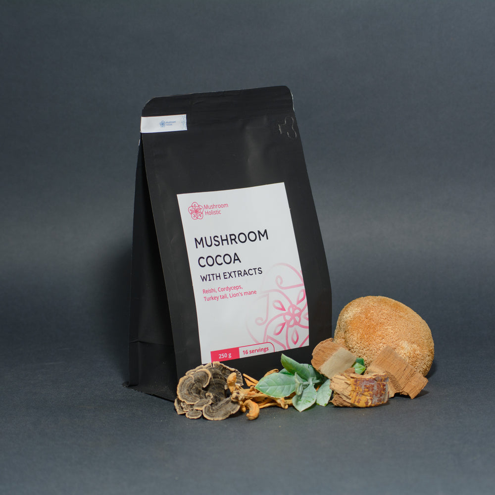 
                  
                    Mushroom Cocoa with extracts - Reishi, Cordyceps, Turkey tail, Lion's Mane, 250 g
                  
                