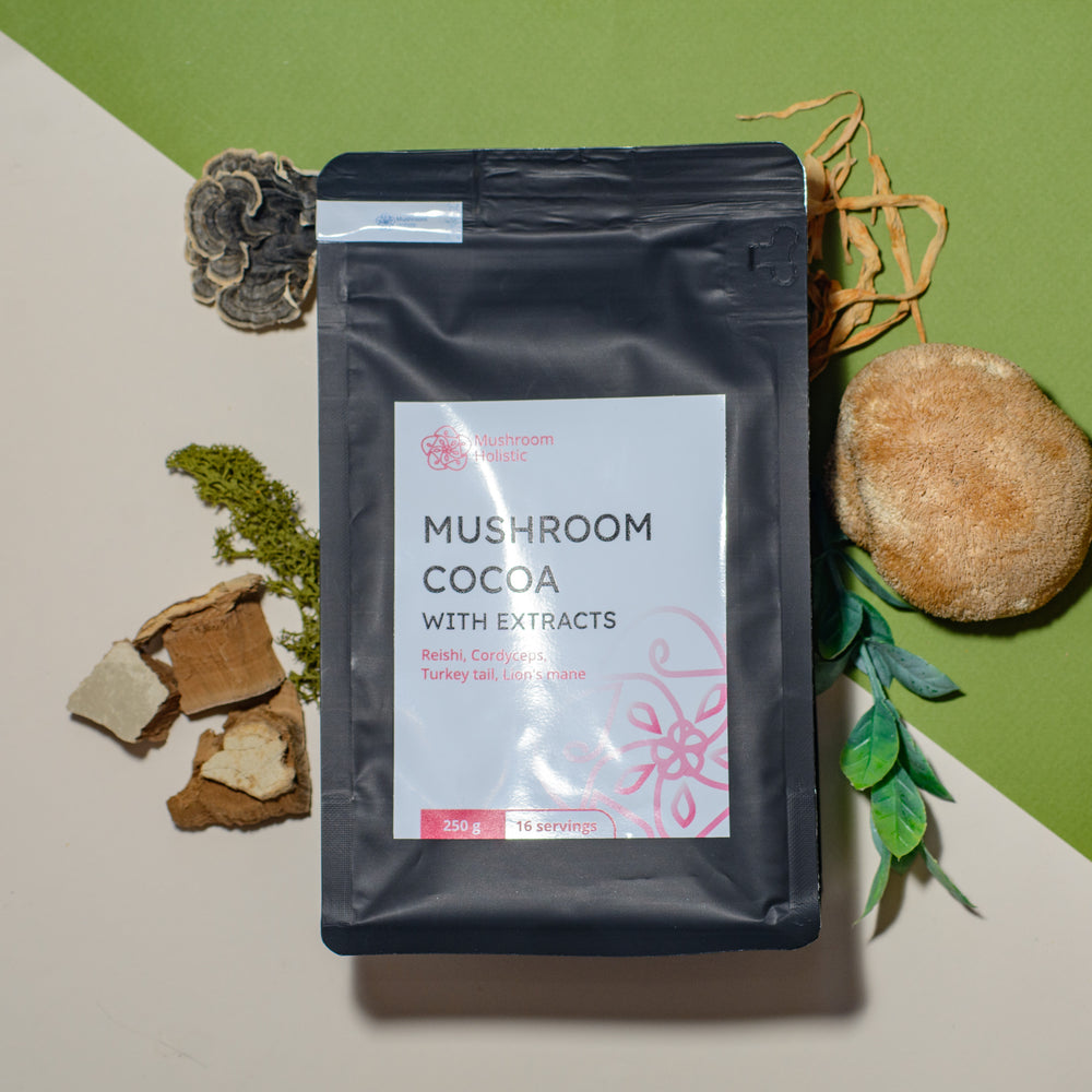 
                  
                    Mushroom Cocoa with extracts - Reishi, Cordyceps, Turkey tail, Lion's Mane, 250 g
                  
                