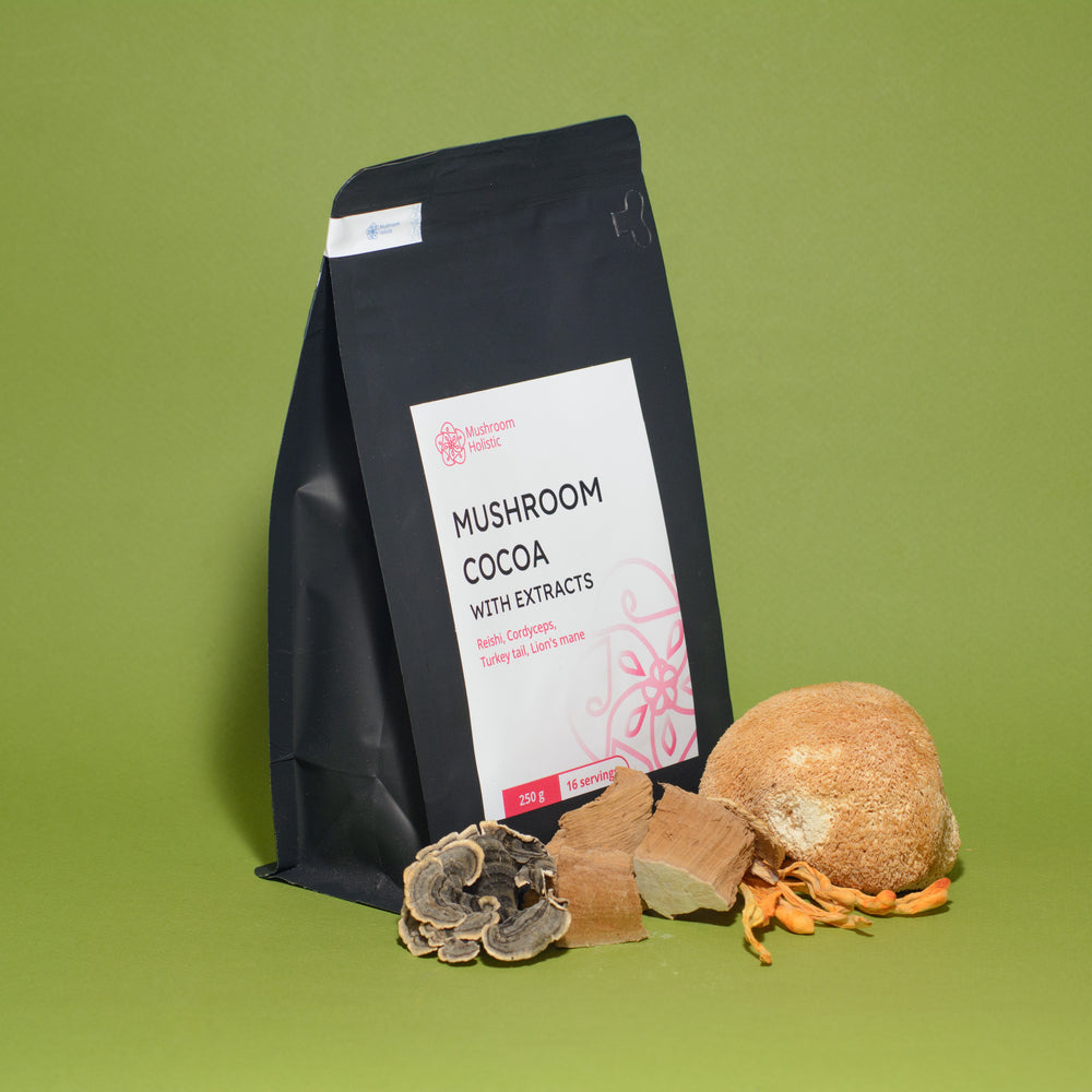 
                  
                    Mushroom Cocoa with extracts - Reishi, Cordyceps, Turkey tail, Lion's Mane, 250 g
                  
                
