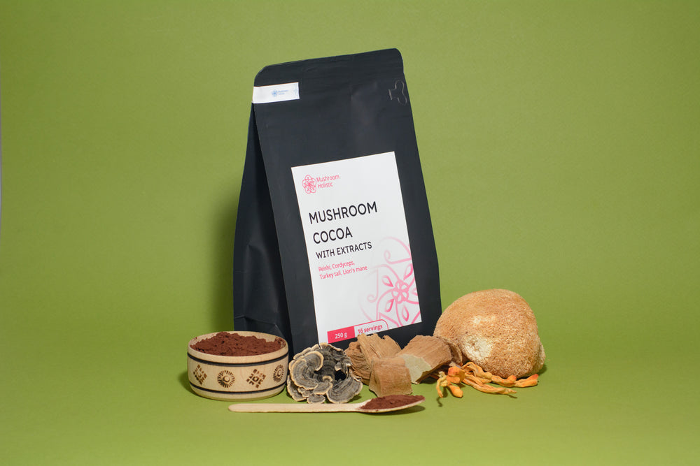 Mushroom Cocoa with extracts - Reishi, Cordyceps, Turkey tail, Lion's Mane, 250 g