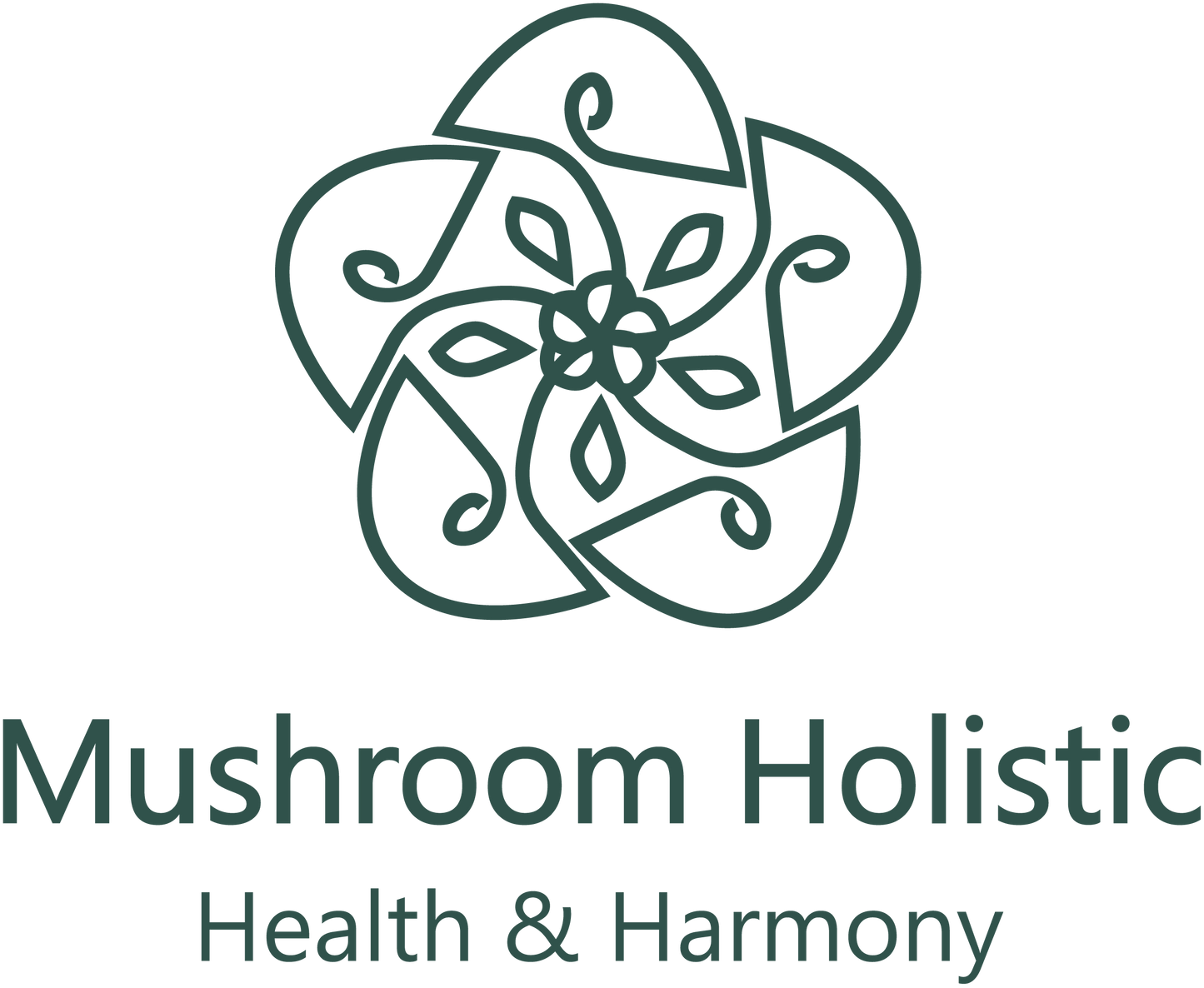 Mushroom Holistic USA